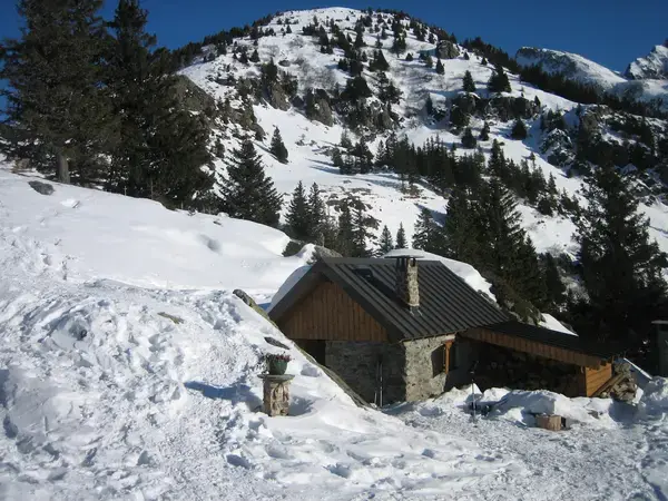 Monte Escalier 38 Monte escalier La Combe-de-Lancey